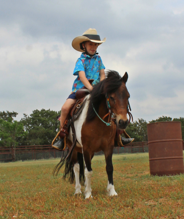 HorseID: 2313033 Patch - PhotoID: 1098322