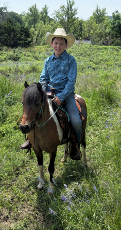 HorseID: 2313033 Patch - PhotoID: 1098323