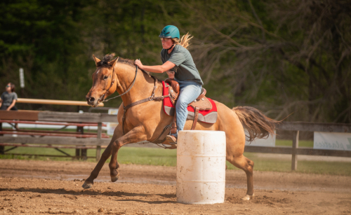 HorseID: 2313046 Ima Star Eyed Doll - PhotoID: 1098365
