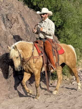 HorseID: 2313082 Sundown - PhotoID: 1098451