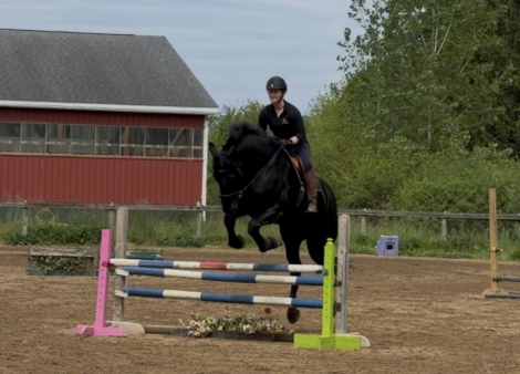 HorseID: 2313134 Eddie - PhotoID: 1098500