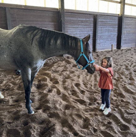HorseID: 2313143 Teds Atlas Blu Cat - PhotoID: 1098550