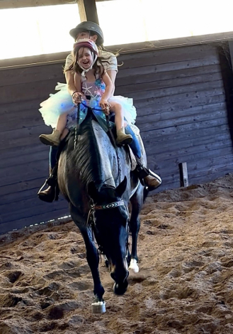 HorseID: 2313143 Teds Atlas Blu Cat - PhotoID: 1098551