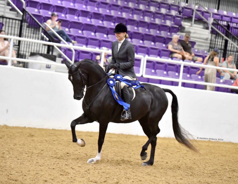 HorseID: 2313148 Love Trane JMH - PhotoID: 1098511