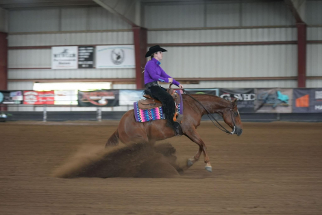 HorseID: 2313151 Shootin Missles - PhotoID: 1098594