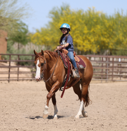HorseID: 2313178 LOTTA CHEX KAT - PhotoID: 1098531