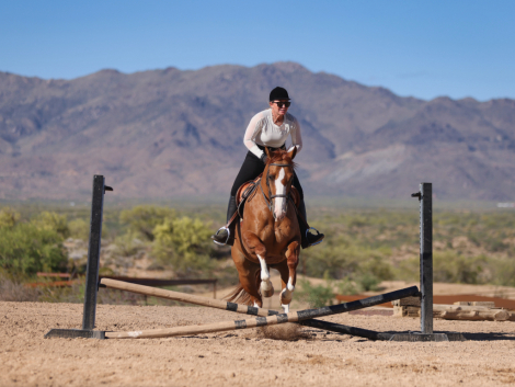 HorseID: 2313178 LOTTA CHEX KAT - PhotoID: 1098532