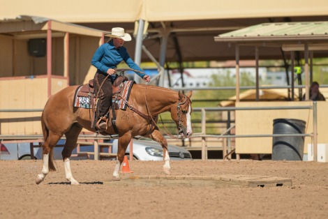 HorseID: 2313178 LOTTA CHEX KAT - PhotoID: 1098533