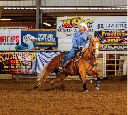 HorseID: 2313179 XTRA DONT PLAY DAT - PhotoID: 1098535