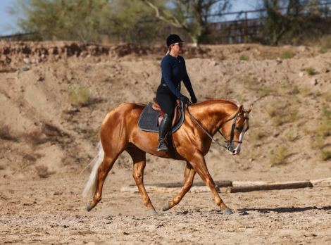 HorseID: 2313179 XTRA DONT PLAY DAT - PhotoID: 1098536