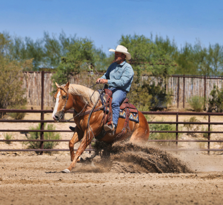 HorseID: 2313179 XTRA DONT PLAY DAT - PhotoID: 1098537