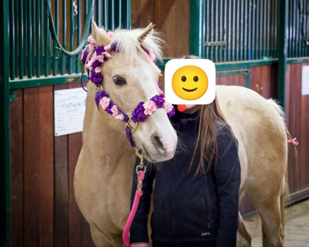 HorseID: 2313240 River - PhotoID: 1098602