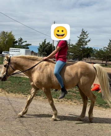 HorseID: 2313240 River - PhotoID: 1098603