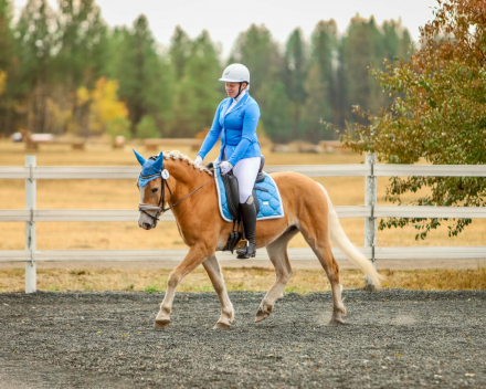 HorseID: 2313252 Nature’s Shiver - PhotoID: 1098639