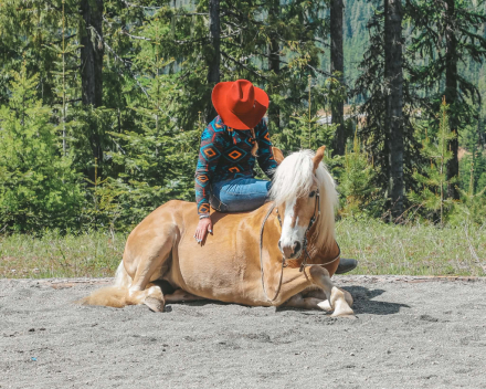 HorseID: 2313252 Nature’s Shiver - PhotoID: 1098641