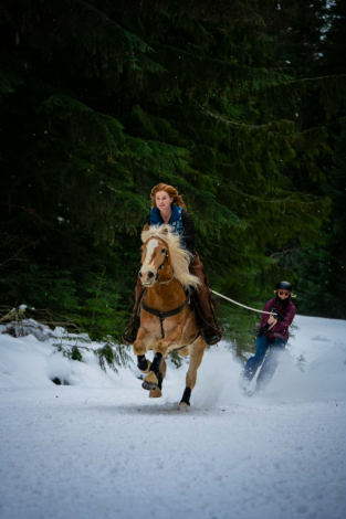 HorseID: 2313252 Nature’s Shiver - PhotoID: 1098642