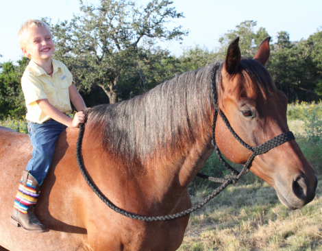 HorseID: 2313256 SPOONIN FOR MONEY - PhotoID: 1098651