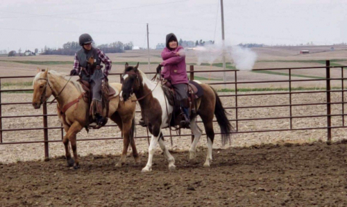 HorseID: 2313270 Whirlin Blue Angel - PhotoID: 1098707