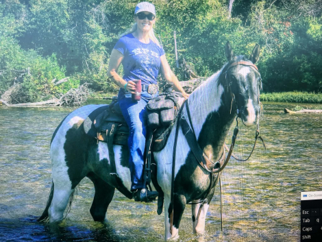 HorseID: 2313270 Whirlin Blue Angel - PhotoID: 1098708