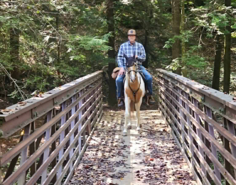 HorseID: 2313287 Yellowstone Wrangler - PhotoID: 1098666