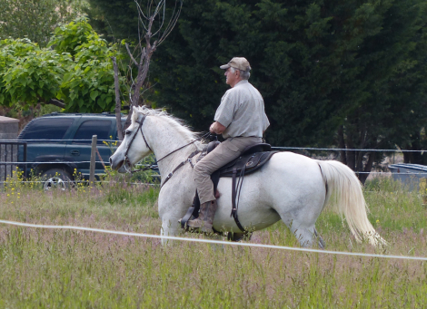 HorseID: 2313289 Zoe - PhotoID: 1098684