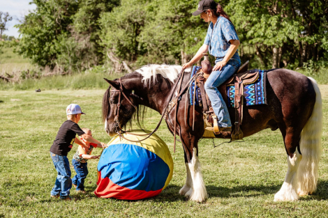 HorseID: 2313292 MFS SirAnna Wonder - PhotoID: 1098686