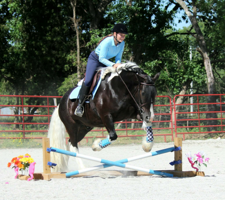 HorseID: 2313292 MFS SirAnna Wonder - PhotoID: 1098688