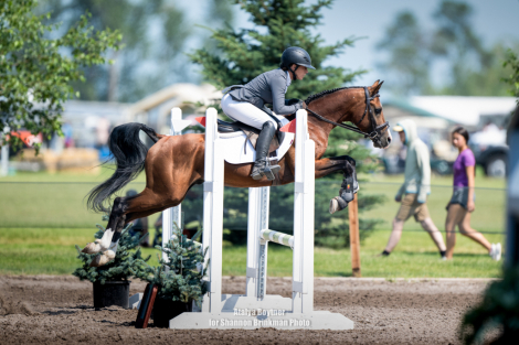 HorseID: 2313297 Blue Palooza RB - PhotoID: 1098700