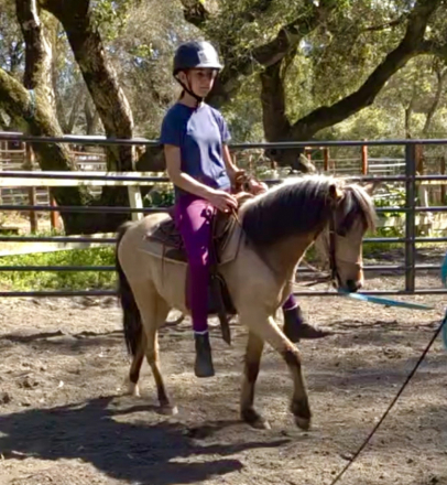 HorseID: 2313311 Luigi - PhotoID: 1098732