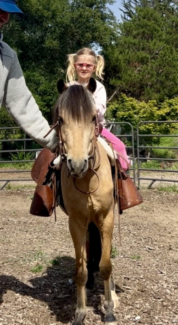 HorseID: 2313311 Luigi - PhotoID: 1098733