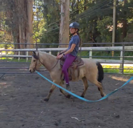 HorseID: 2313311 Luigi - PhotoID: 1098734