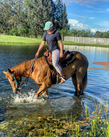 HorseID: 2313373 Cimi - PhotoID: 1098778