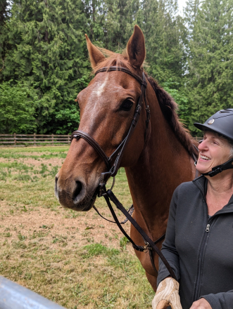 HorseID: 2313413 Brogan - PhotoID: 1098901