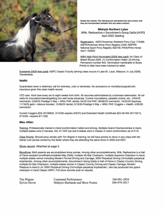 HorseID: 2313440 Midnyte Northern Lytes - PhotoID: 1098933