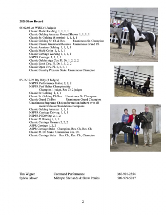 HorseID: 2313440 Midnyte Northern Lytes - PhotoID: 1098936
