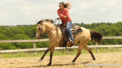 HorseID: 2313474 Dr Phil Good - PhotoID: 1098888