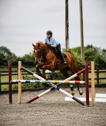 HorseID: 2313491 LEGACY'S SCARLET - PhotoID: 1098903