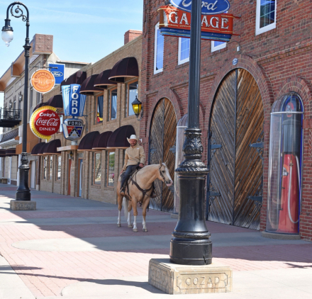 HorseID: 2313496 Shiner N Chrome - PhotoID: 1098915