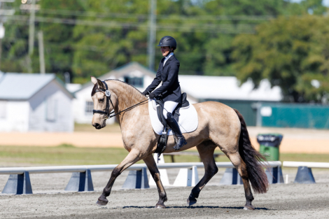 HorseID: 2313537 Glori Jana - PhotoID: 1098993