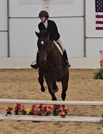 HorseID: 2313564 Tensas Shack - PhotoID: 1098943