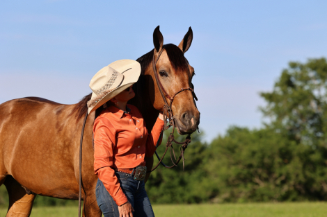 HorseID: 2313616 Gunpowder and Lead - PhotoID: 1099098