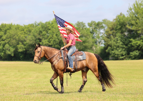 HorseID: 2313616 Gunpowder and Lead - PhotoID: 1099099