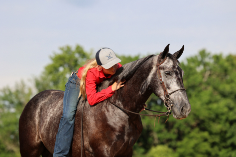HorseID: 2313619 Ruger - PhotoID: 1099108