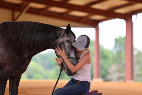 HorseID: 2313619 Ruger - PhotoID: 1099110