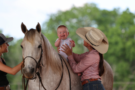 HorseID: 2313620 Jerry Lee - PhotoID: 1099114