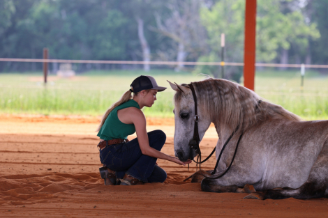 HorseID: 2313620 Jerry Lee - PhotoID: 1099117