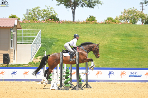 HorseID: 2313641 Word on the Street - PhotoID: 1099134