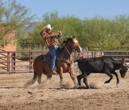 HorseID: 2313651 CURLYS GOLD N NUGGET - PhotoID: 1099154