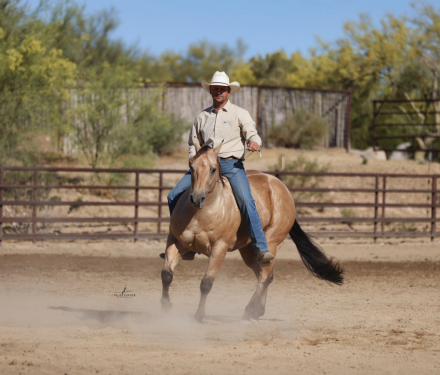 HorseID: 2313652 WT ROOSTER - PhotoID: 1099159
