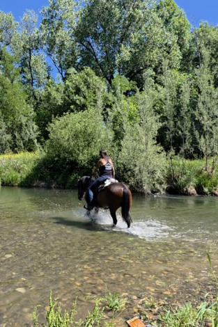 HorseID: 2313674 Hot Rod - PhotoID: 1099169